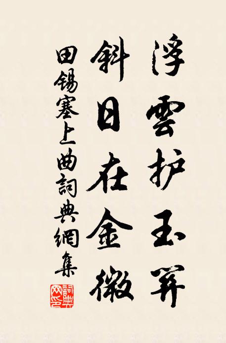 田锡浮云护玉关，斜日在金微书法作品欣赏