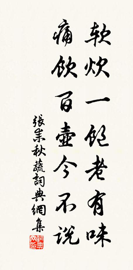 张耒软炊一饱老有味，痛饮百壶今不说书法作品欣赏
