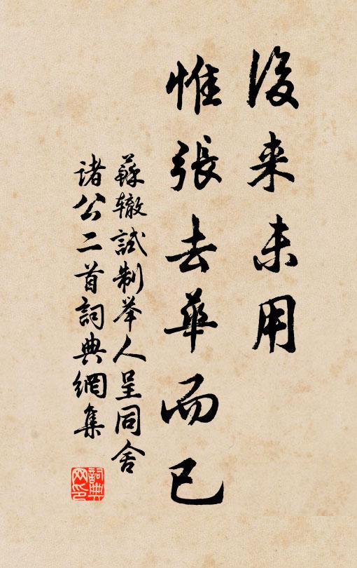 苏辙后来未用，惟张去华而已书法作品欣赏