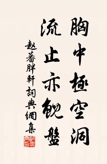 赵蕃胸中极空洞，流止亦鲵盘书法作品欣赏