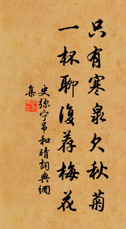 史弥宁只有寒泉欠秋菊，一杯聊复荐梅花书法作品欣赏