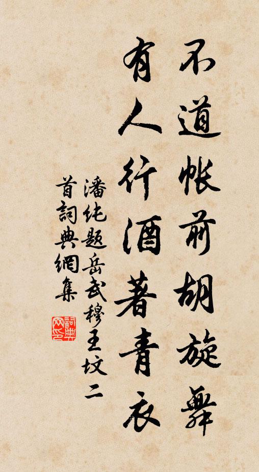 潘纯不道帐前胡旋舞，有人行酒著青衣书法作品欣赏