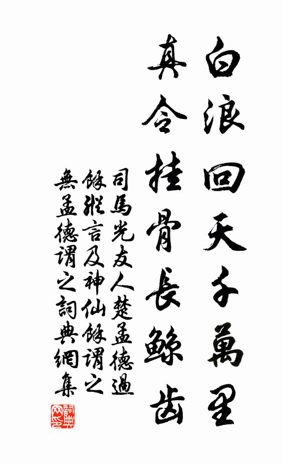 司马光白浪回天千万里，真令挂骨长鲸齿书法作品欣赏