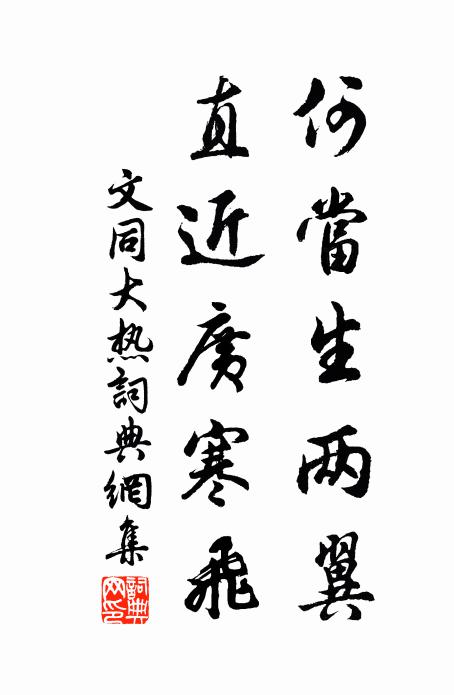文同何当生两翼，直近广寒飞书法作品欣赏