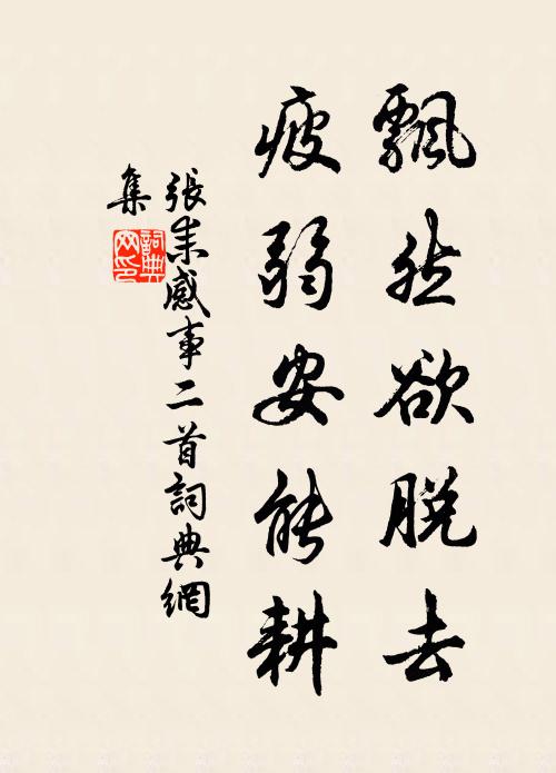张耒飘然欲脱去，疲弱安能耕书法作品欣赏