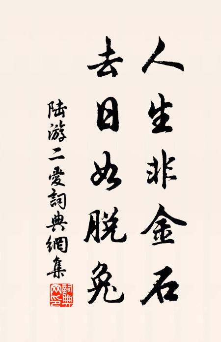 陆游人生非金石，去日如脱兔书法作品欣赏