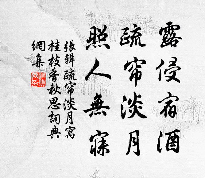 张辑露侵宿酒，疏帘淡月，照人无寐书法作品欣赏
