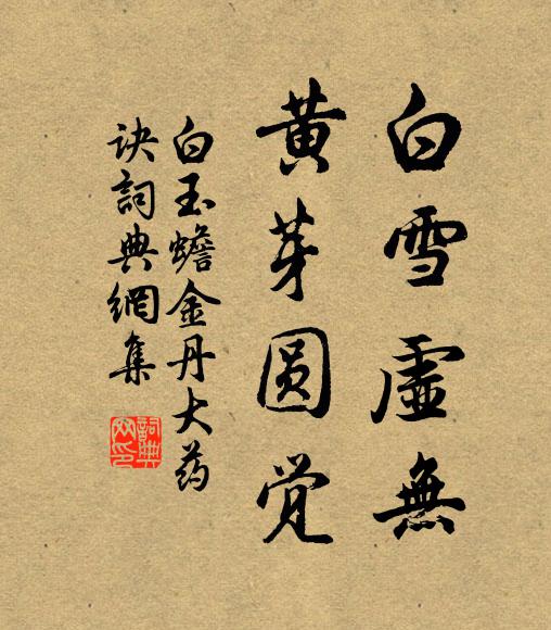 白玉蟾白雪虚无，黄芽圆觉书法作品欣赏