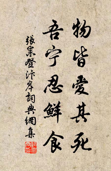 张耒物皆爱其死，吾宁忍鲜食书法作品欣赏