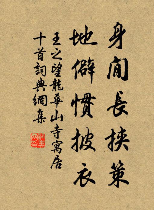 王之望身閒长挟策，地僻惯披衣书法作品欣赏