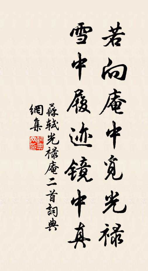 苏轼若向庵中觅光禄，雪中履迹镜中真书法作品欣赏