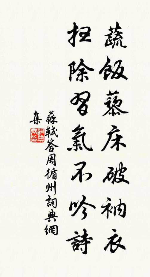 苏轼蔬饭藜床破衲衣，扫除习气不吟诗书法作品欣赏