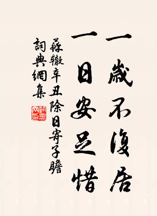 苏辙一岁不复居，一日安足惜书法作品欣赏