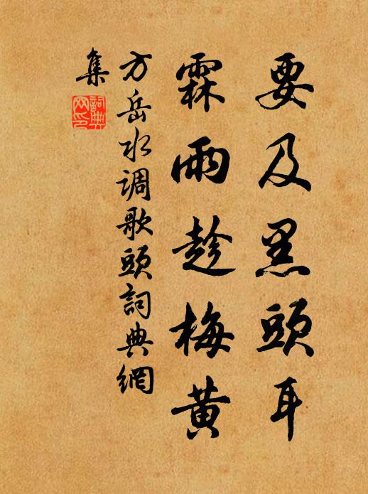 方岳要及黑头耳，霖雨趁梅黄书法作品欣赏