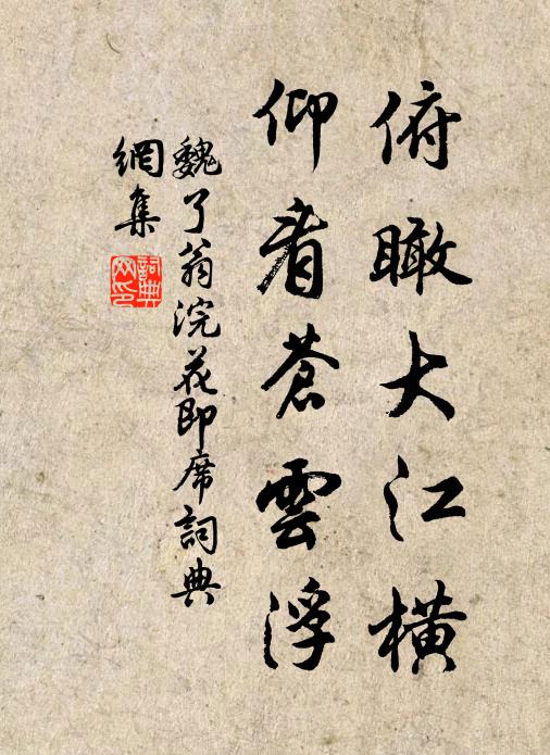 魏了翁俯瞰大江横，仰看苍云浮书法作品欣赏