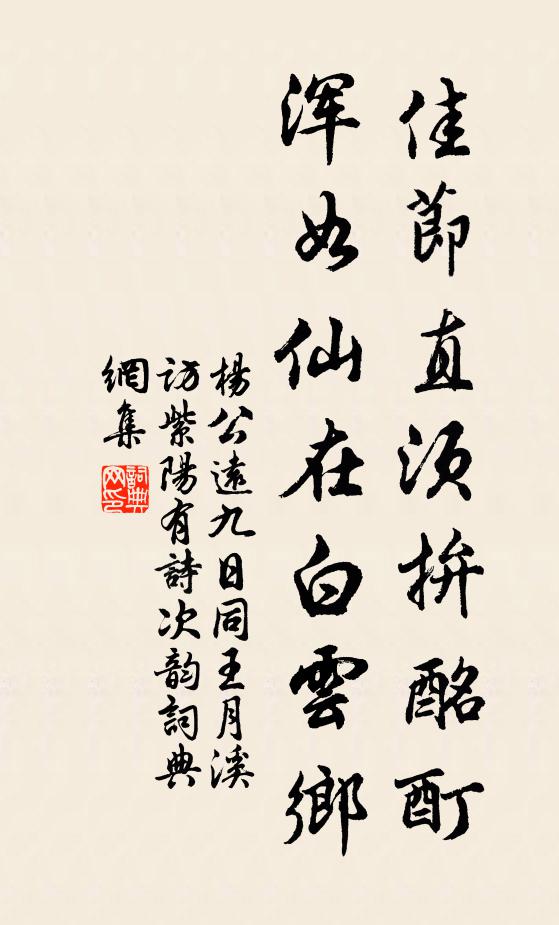 杨公远佳节直须拚酩酊，浑如仙在白云乡书法作品欣赏
