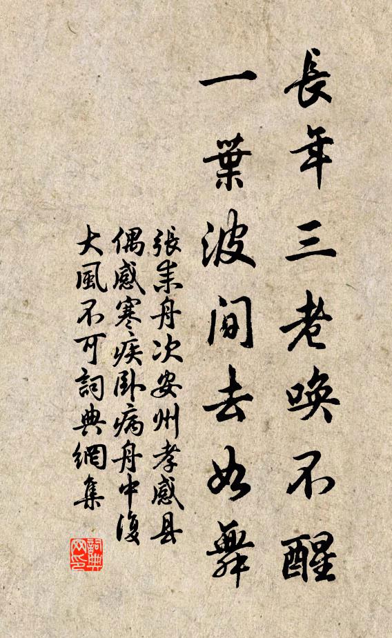 张耒长年三老唤不醒，一叶波间去如舞书法作品欣赏