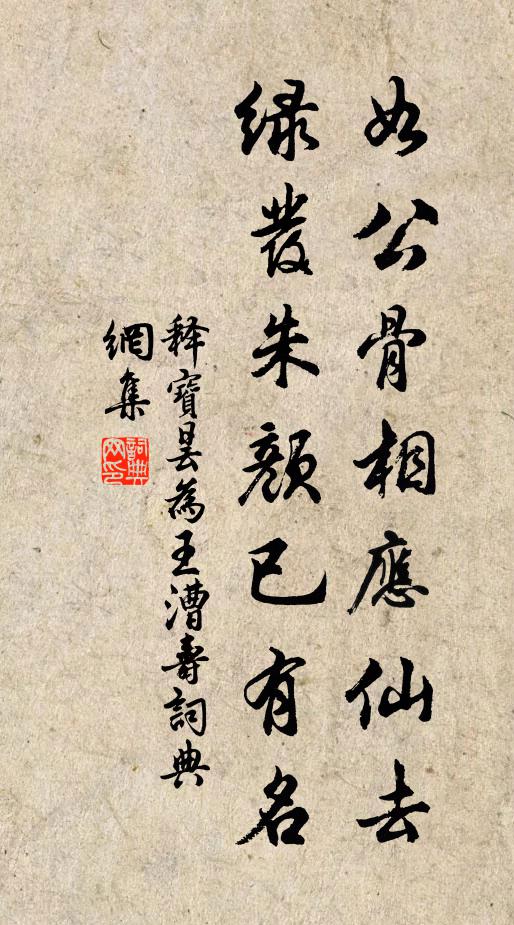释宝昙如公骨相应仙去，绿发朱颜已有名书法作品欣赏