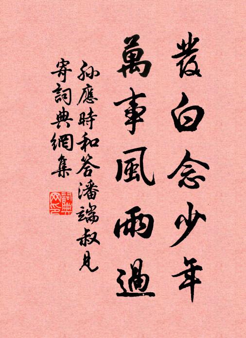 孙应时发白念少年，万事风雨过书法作品欣赏
