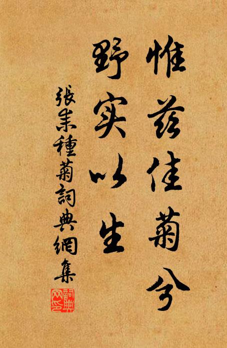 张耒惟兹佳菊兮,野实以生书法作品欣赏