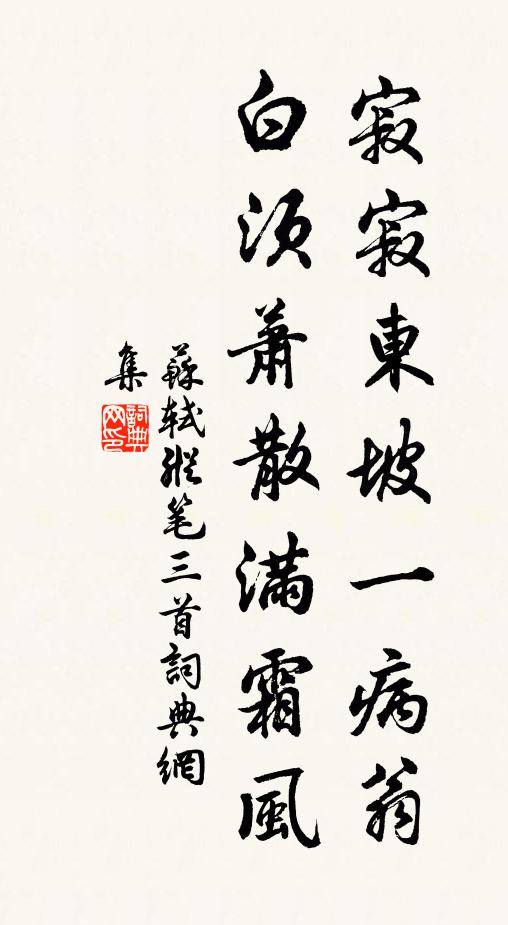 苏轼寂寂东坡一病翁，白须萧散满霜风书法作品欣赏