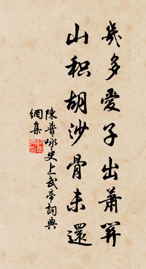 陈普几多爱子出萧关，山积胡沙骨未还书法作品欣赏