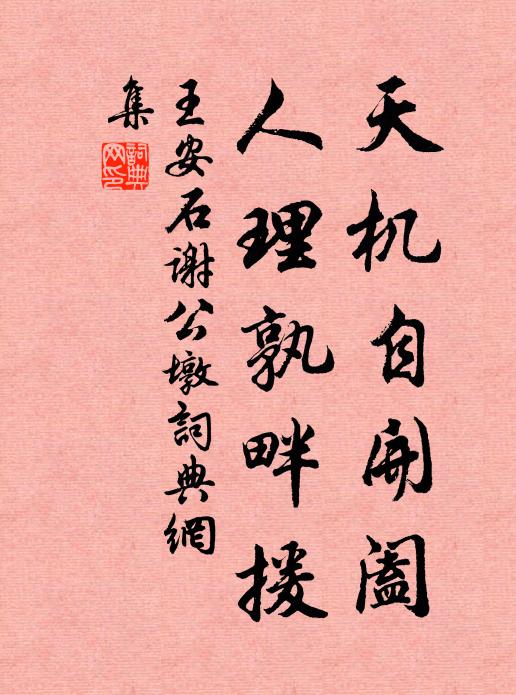 王安石天机自开阖，人理孰畔援书法作品欣赏