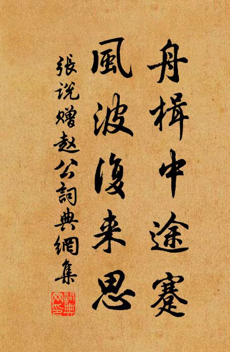 张说舟楫中途蹇，风波复来思书法作品欣赏