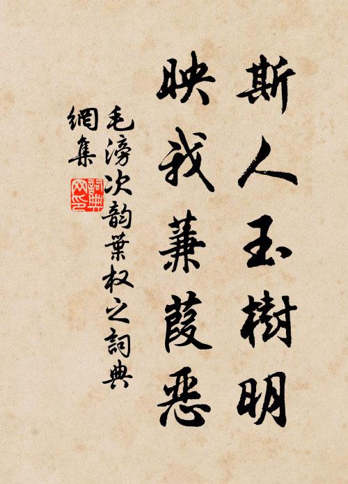 毛滂斯人玉树明，映我蒹葭恶书法作品欣赏