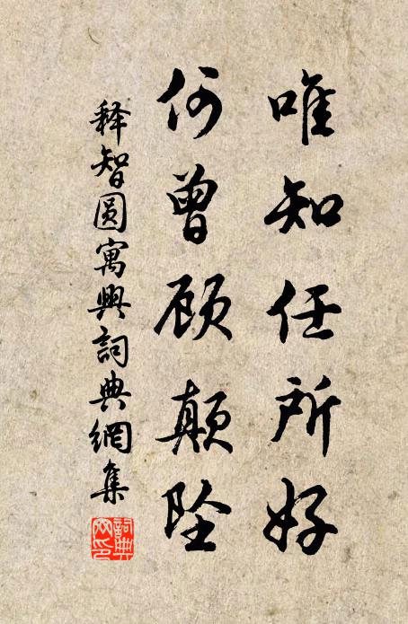 释智圆唯知任所好，何曾顾颠坠书法作品欣赏