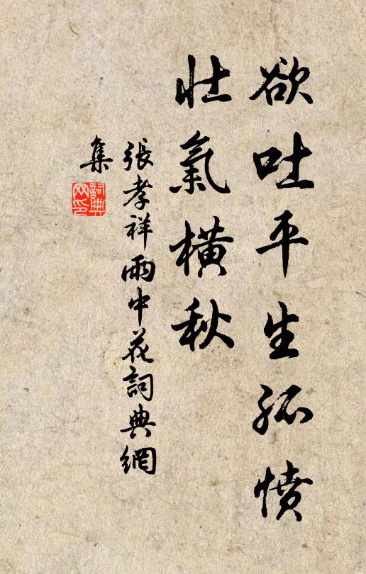 张孝祥欲吐平生孤愤，壮气横秋书法作品欣赏