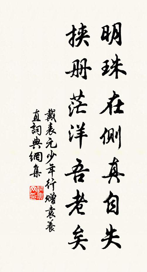 戴表元明珠在侧真自失，挟册茫洋吾老矣书法作品欣赏