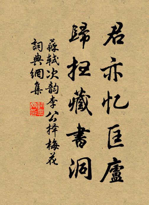 苏轼君亦忆匡庐，归扫藏书洞书法作品欣赏