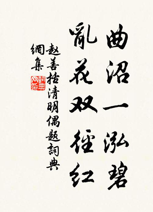 赵善括曲沼一泓碧，乱花双径红书法作品欣赏