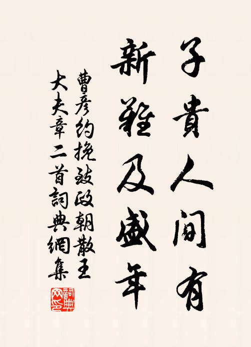 曹彦约子贵人间有，新难及盛年书法作品欣赏