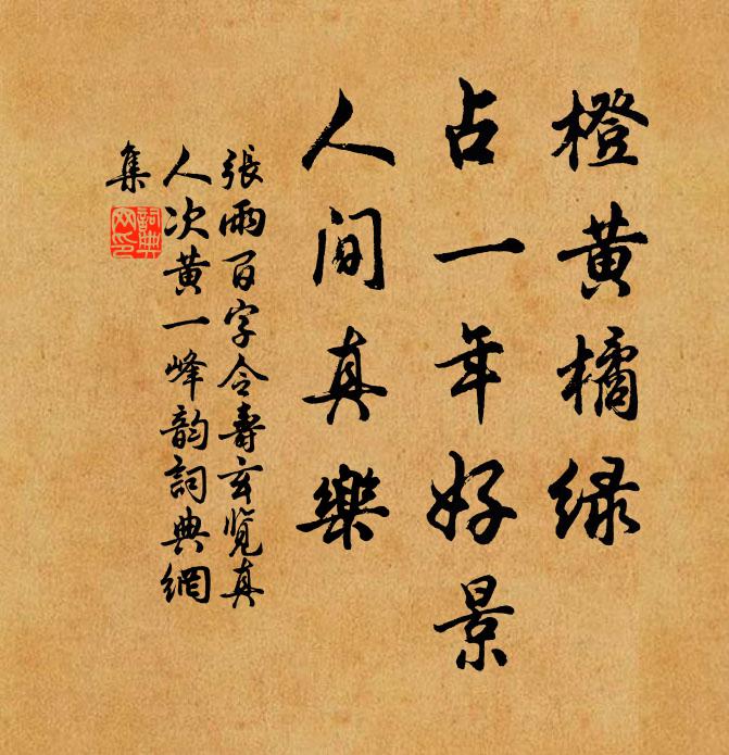 张雨橙黄橘绿，占一年好景，人间真乐书法作品欣赏