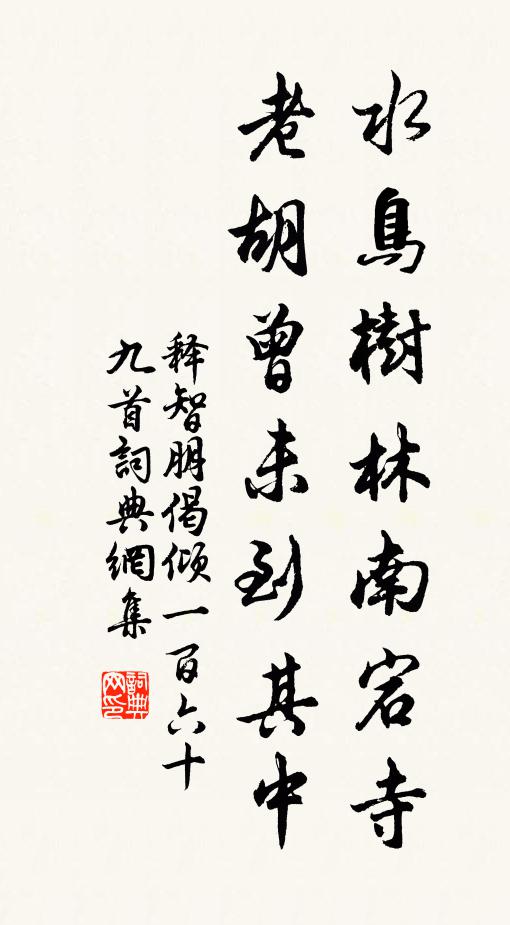 释智朋水鸟树林南宕寺，老胡曾未到其中书法作品欣赏