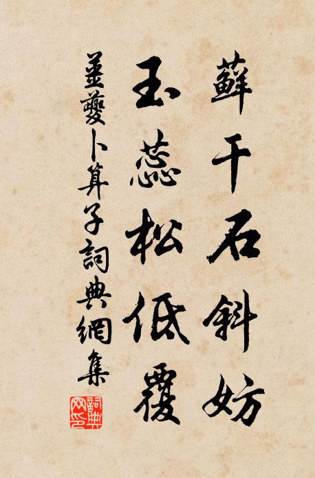 姜夔藓干石斜妨，玉蕊松低覆书法作品欣赏