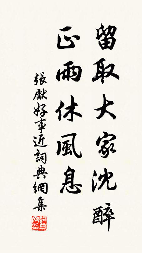张先留取大家沈醉，正雨休风息书法作品欣赏