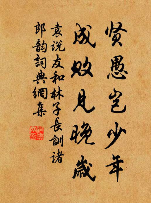 袁说友贤愚岂少年，成败见晚岁书法作品欣赏