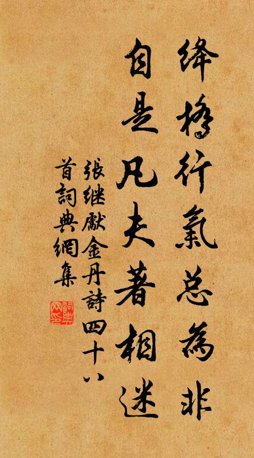 张继先绛桥行气总为非，自是凡夫著相迷书法作品欣赏