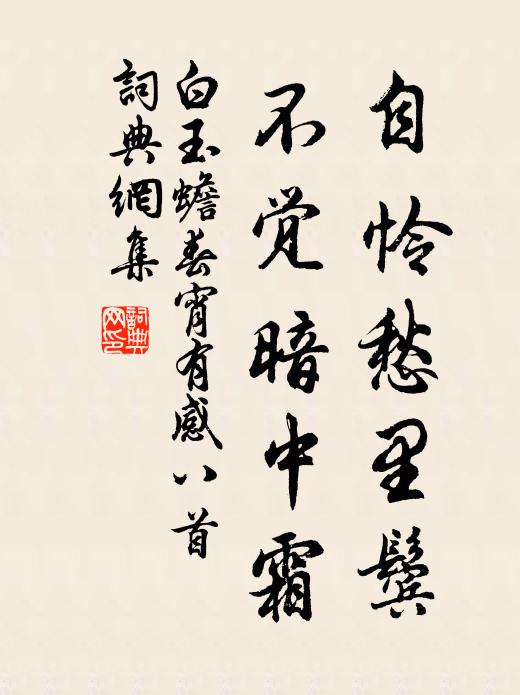 白玉蟾自怜愁里鬓，不觉暗中霜书法作品欣赏