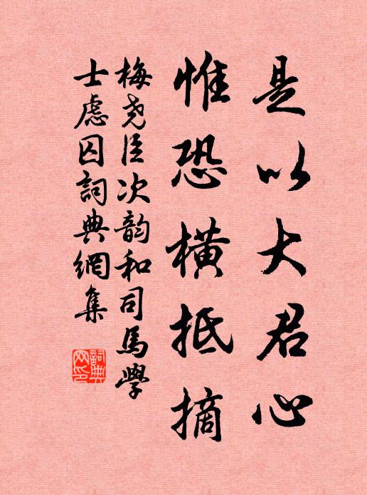 梅尧臣是以大君心，惟恐横抵摘书法作品欣赏