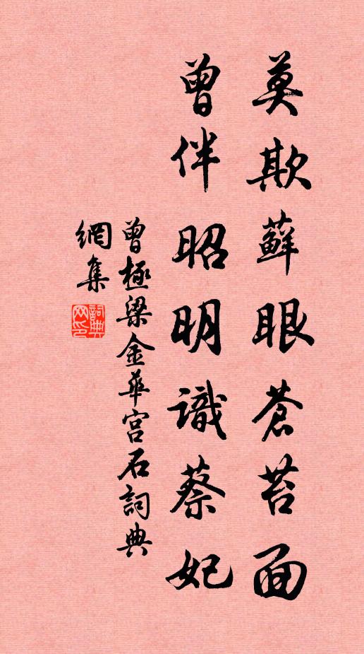 曾极莫欺藓眼苍苔面，曾伴昭明识蔡妃书法作品欣赏