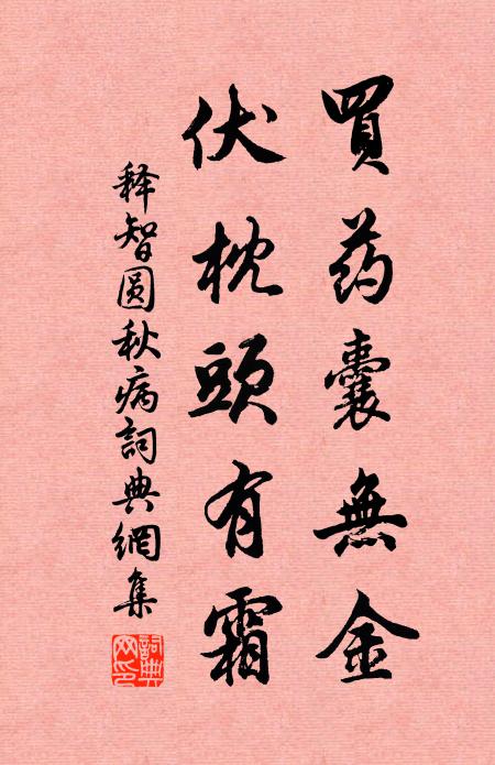 释智圆买药囊无金，伏枕头有霜书法作品欣赏