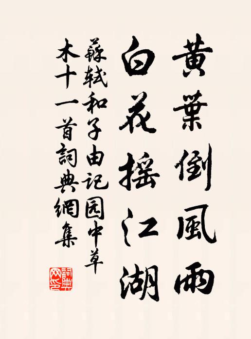 苏轼黄叶倒风雨，白花摇江湖书法作品欣赏