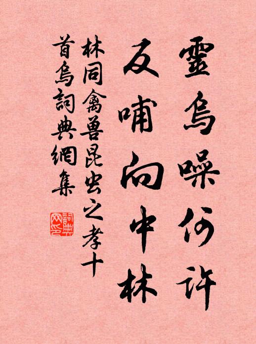 林同灵乌噪何许，反哺向中林书法作品欣赏