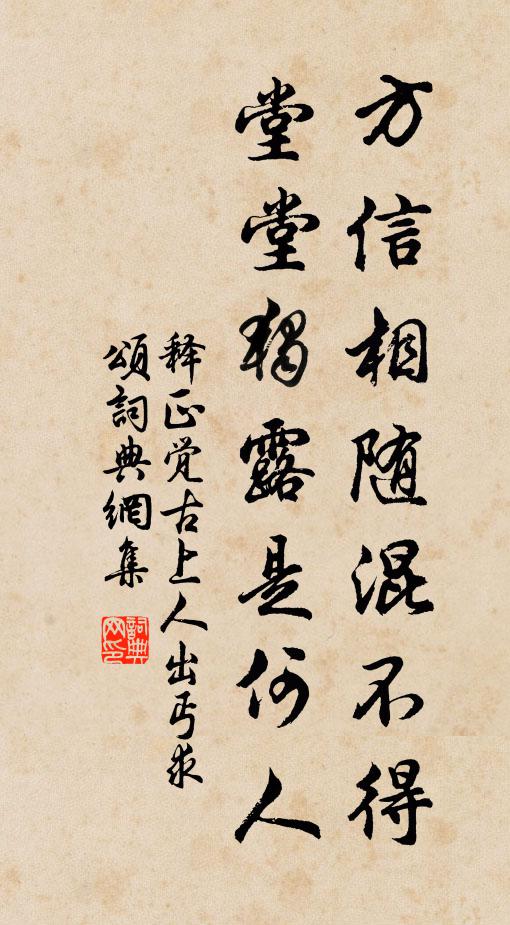 释正觉方信相随混不得，堂堂独露是何人书法作品欣赏