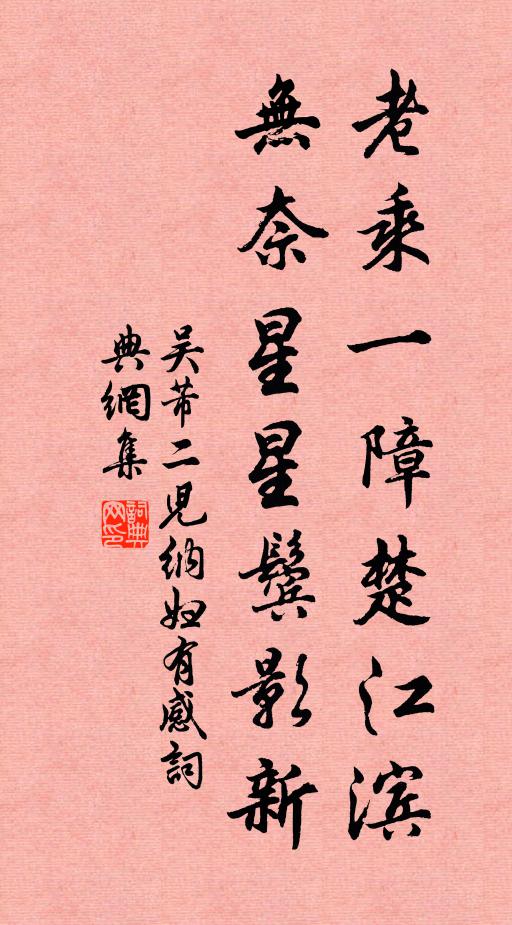 吴芾老乘一障楚江滨，无奈星星鬓影新书法作品欣赏