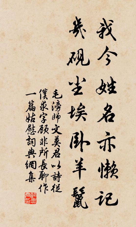 毛滂我今姓名亦懒记，几砚尘埃卧羊鬣书法作品欣赏